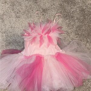 Tutu Du Monde Pink and Light Pink Layered Tulle Fairy Costume